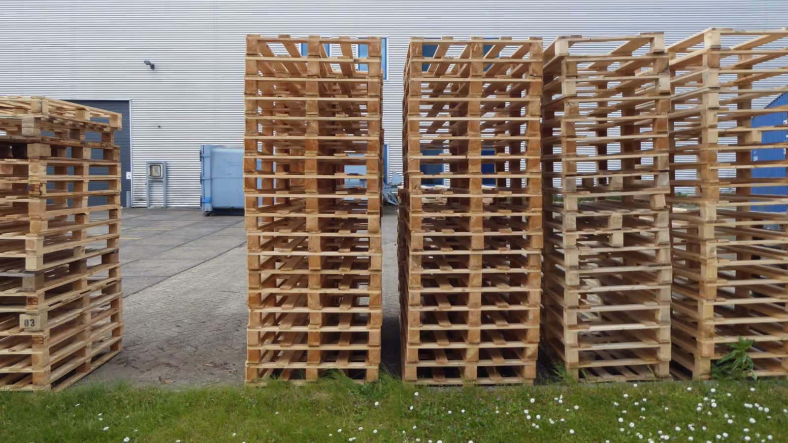 Gestapelte Holzpaletten auf einem Betriebshof vor einer Lagerhalle.